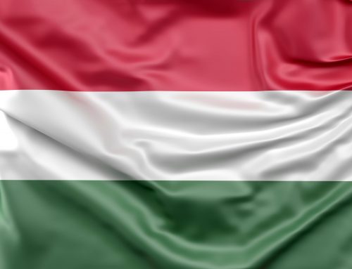 SEO along the Danube: Hungarian Strategies for Digital Success